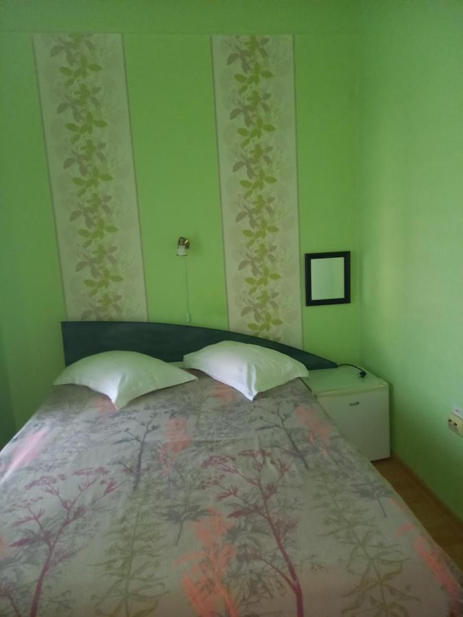 Pensiunea Vila Dana Cluj-Napoca Eksteriør billede