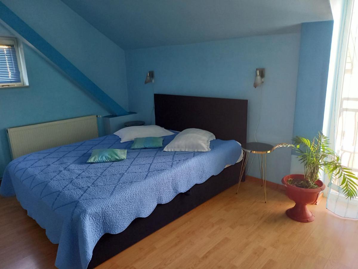 Pensiunea Vila Dana Cluj-Napoca Eksteriør billede