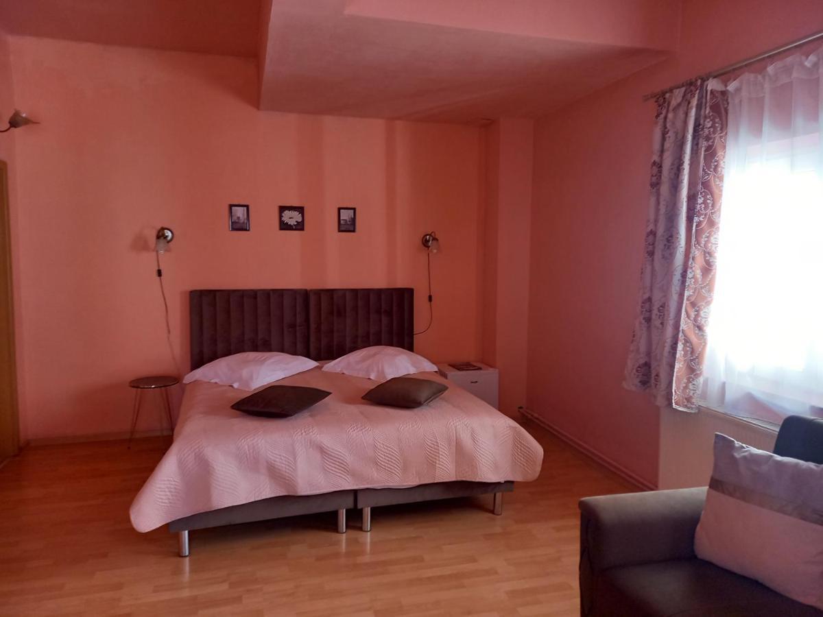 Pensiunea Vila Dana Cluj-Napoca Eksteriør billede