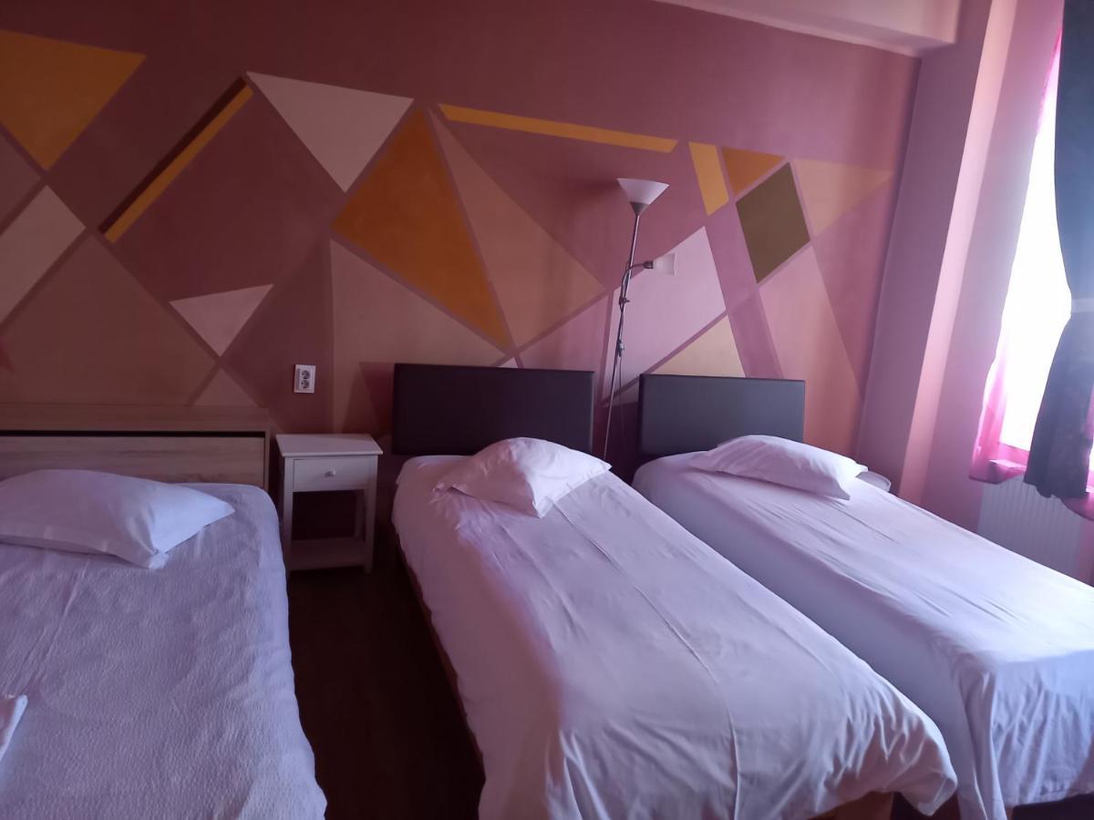 Pensiunea Vila Dana Cluj-Napoca Eksteriør billede